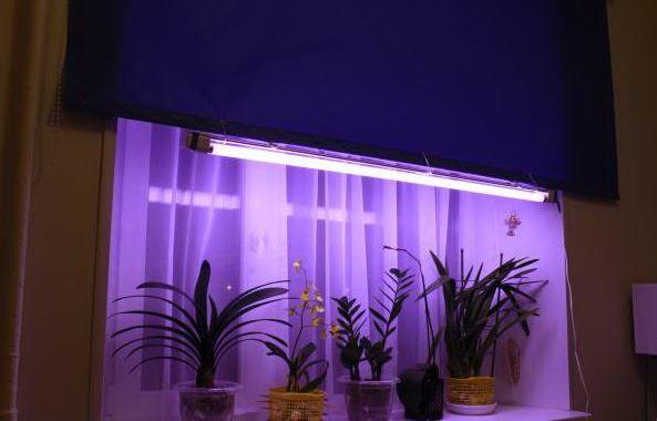 Лампа Fluora для выращивания растений