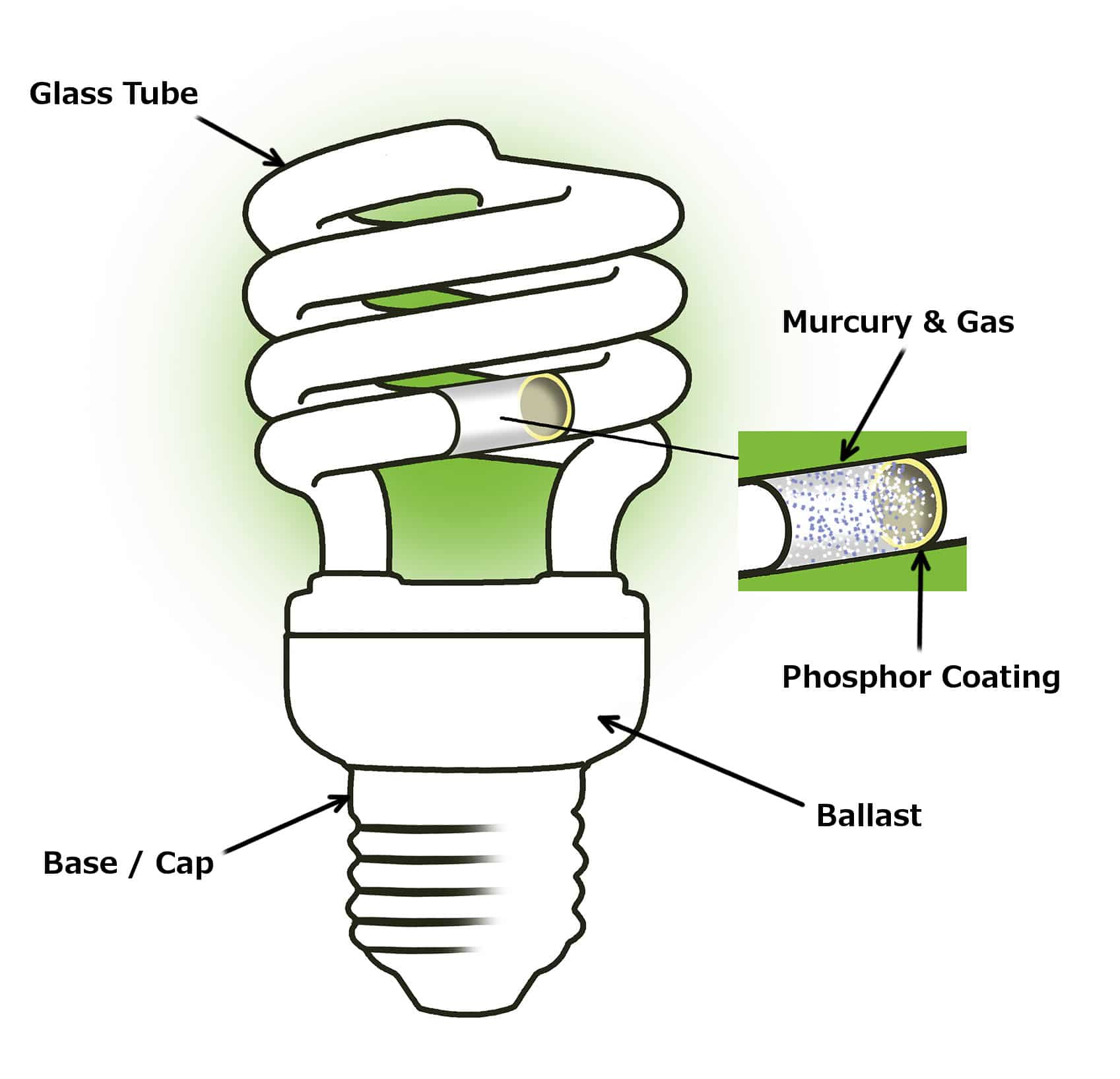 Что делать, если разбился градусник или люминесцентная лампочка?