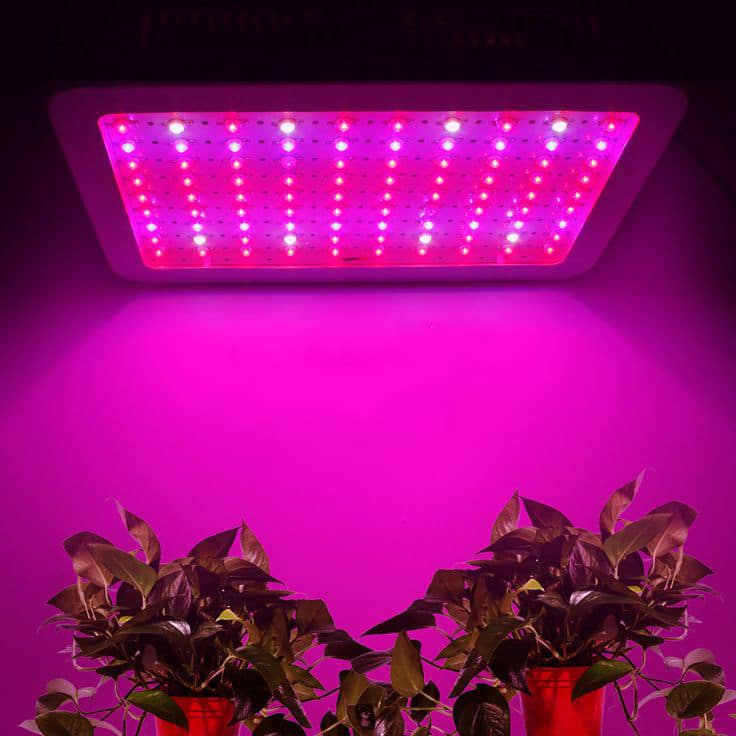 Светодиодные (LED) светильники для растений
