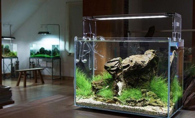 Современное LED освещение аквариума