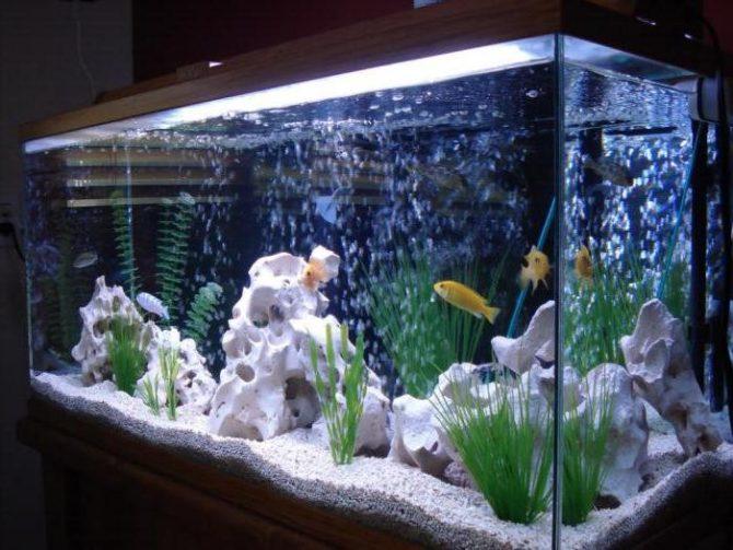 Подсветка аквариума светодиодной лентой