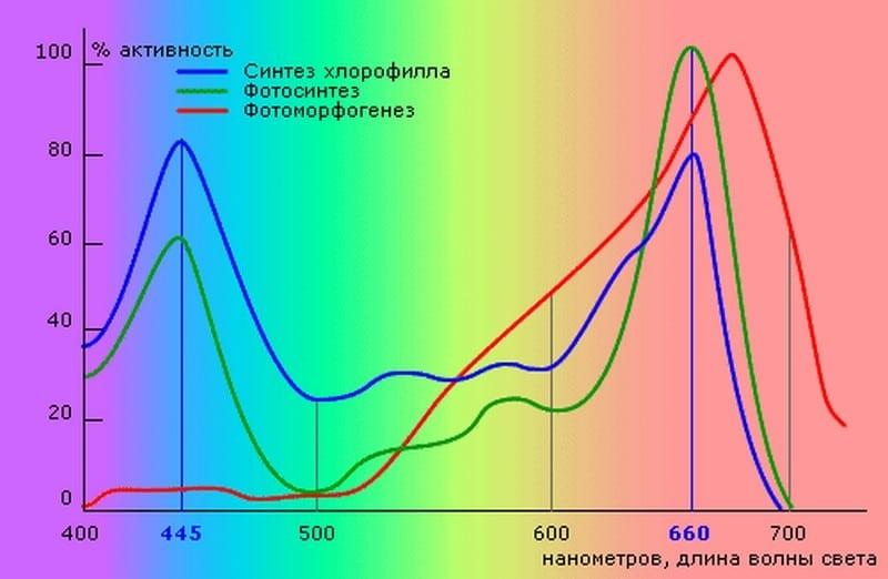 Спектр фитоосвещения