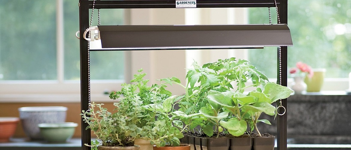 Три простых способа установить подсветку для растений, не испортив окно. | Усадебка | Дзен
